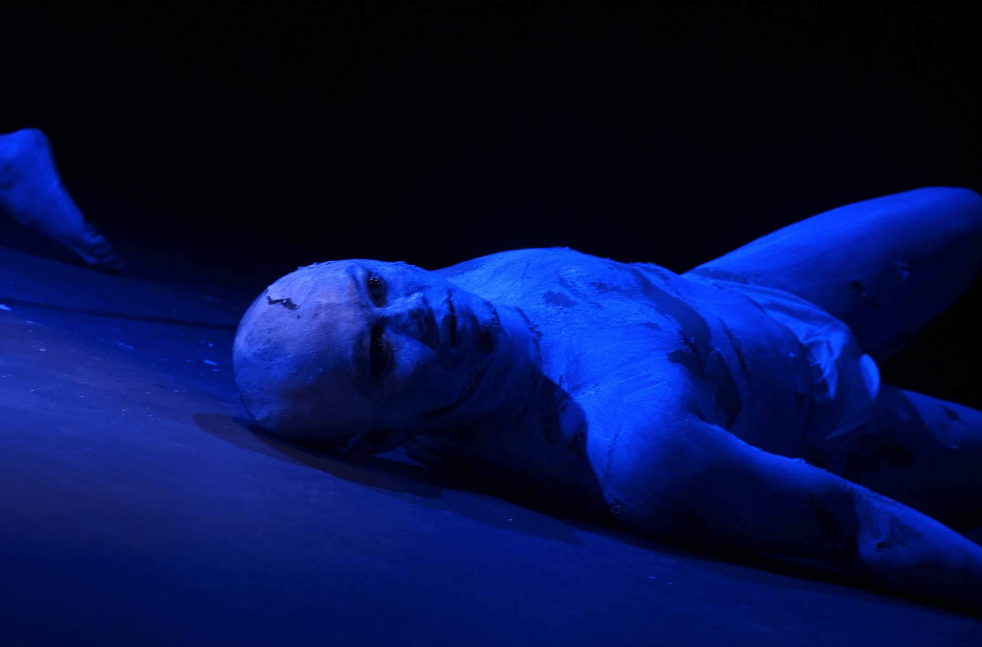 cover image of श्रीलंका र भारतको नाटक, अन्तरक्रिया, पुस्तक विमोचन र लोक सांगितिक प्रस्तुति हुँदै